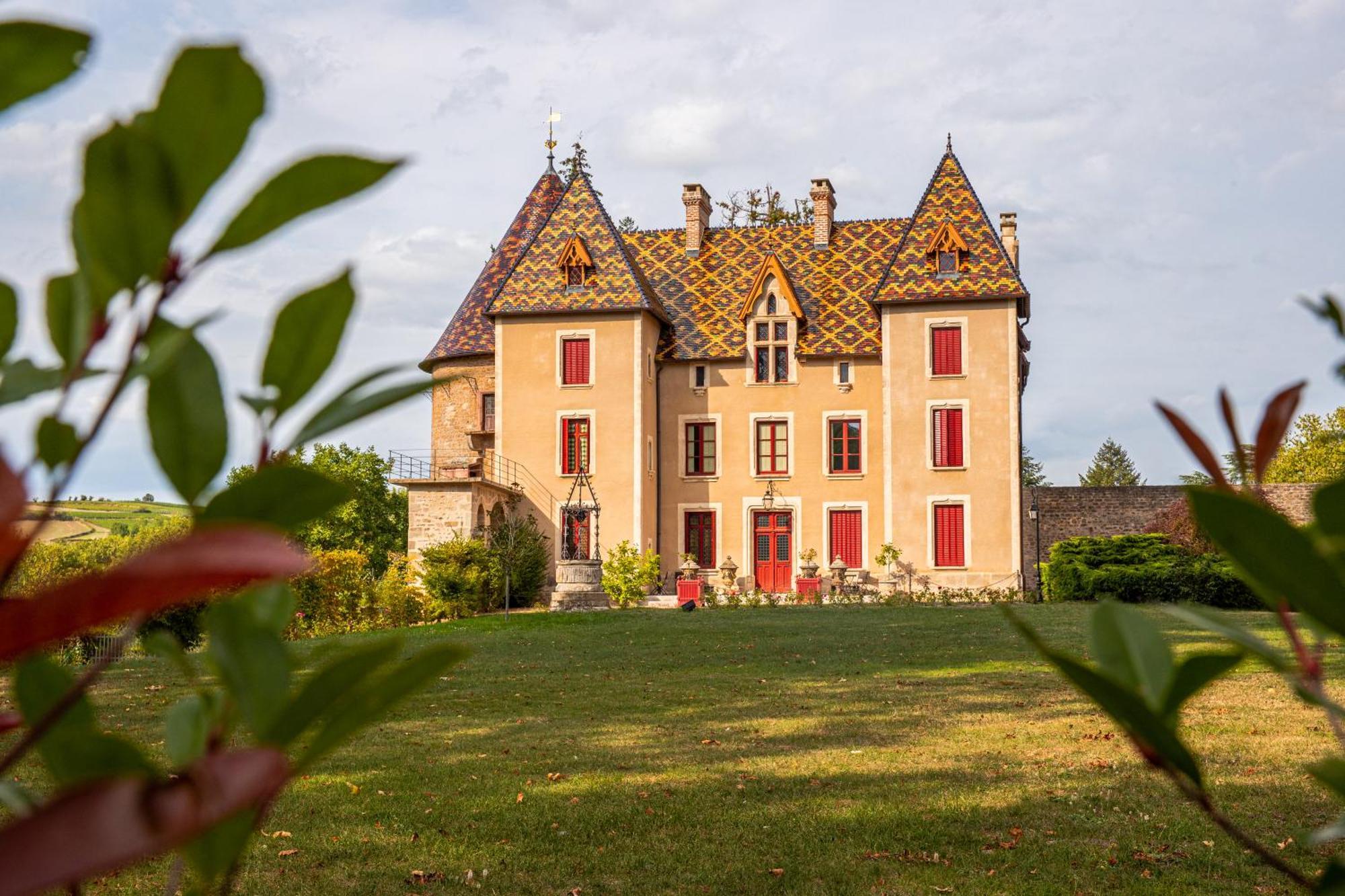 Chateau De La Grange Saint-Emiland Exteriér fotografie